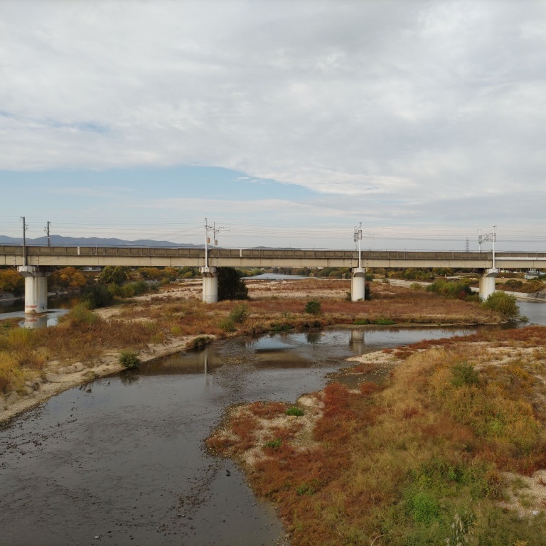 甲武橋からみた武庫川と山陽新幹線の橋桁