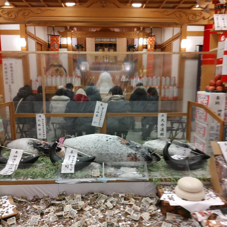 柳原蛭子神社拝殿の最前列から幣殿、舞殿の様子が見える。拝殿には鮪などの魚が奉納されお賽銭が投げ入れられている。