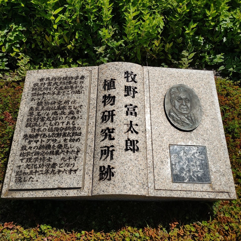 牧野富太郎の植物研究所跡の碑